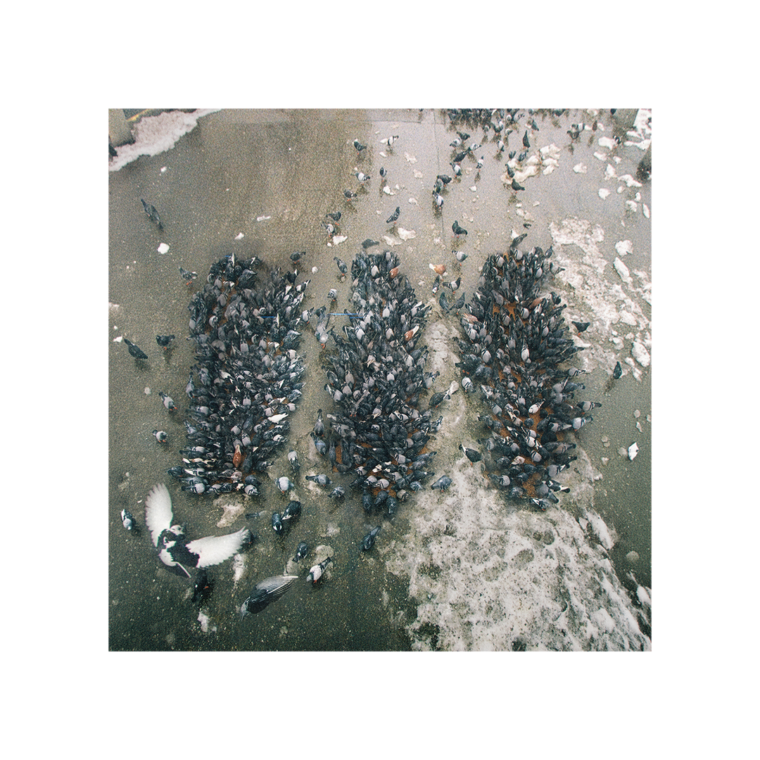 Alone Together Digital Album - View 1