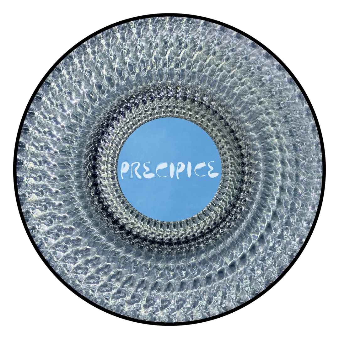 Precipice Zoetrope Picturedisc
