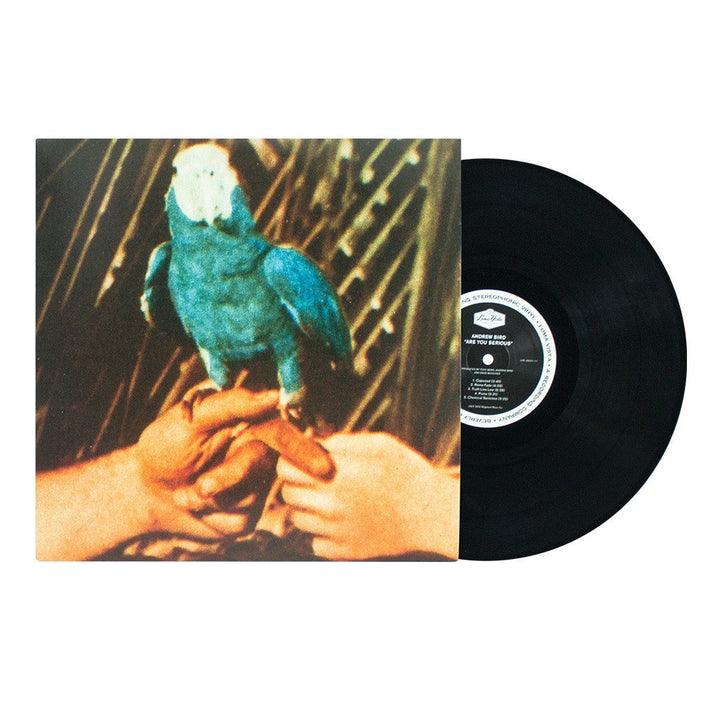Are You Serious Vinyl