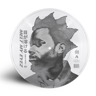 Melt My Eyez Limited Edition Picturedisc