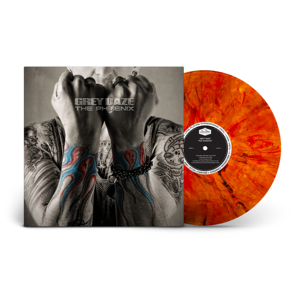 洋楽 Phoenix/United LP indie rock house Phoenix - United